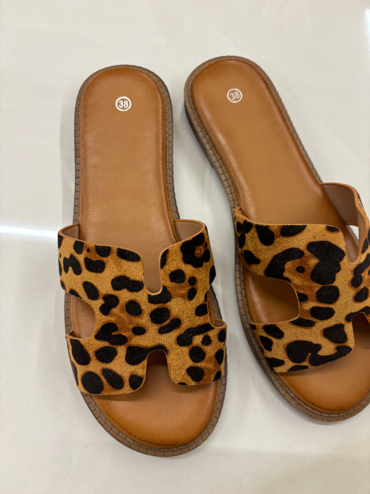 CIABATTA H - LEOPARDATA