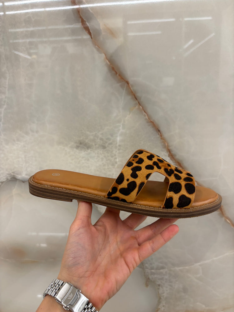 CIABATTA H - LEOPARDATA