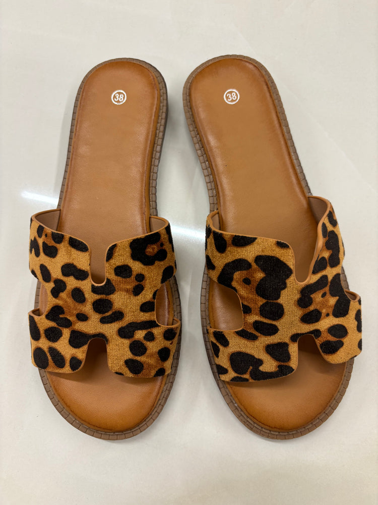 CIABATTA H - LEOPARDATA