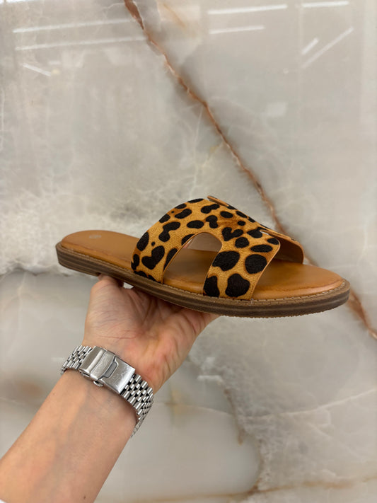 CIABATTA H - LEOPARDATA