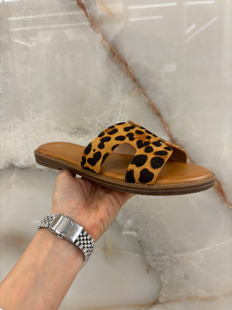 CIABATTA H - LEOPARDATA
